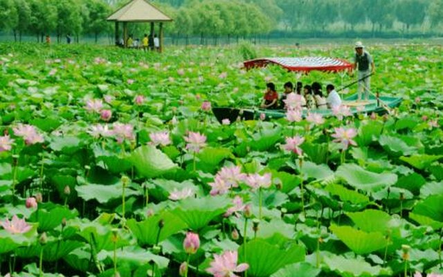 最佳旅游时间大盘点,让你轻松玩转白洋淀实用指南 最佳旅游时间大盘点,让你轻松玩转白洋淀实用指南